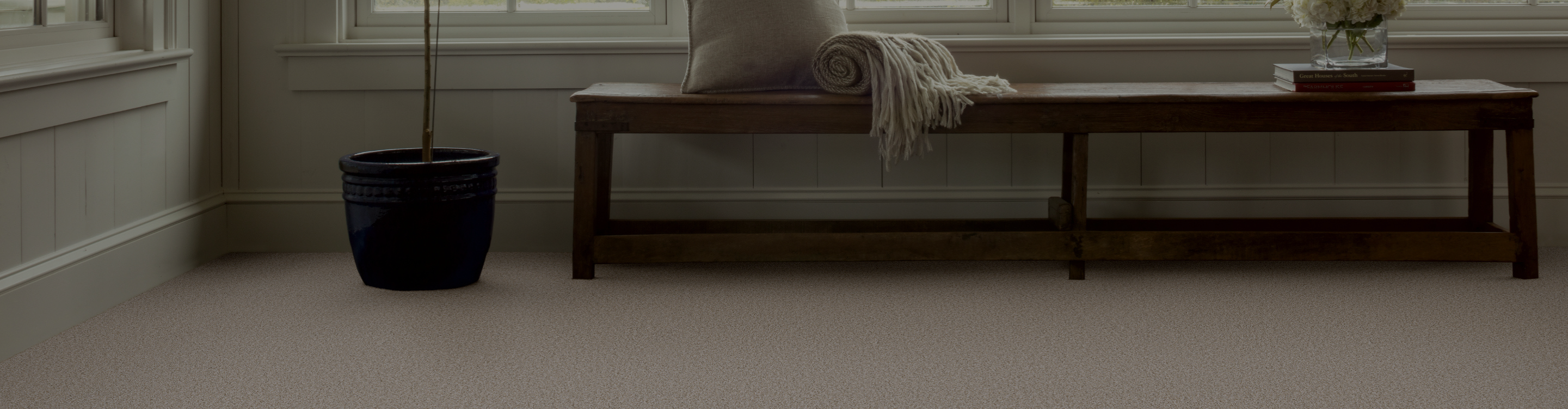 carpet in living area